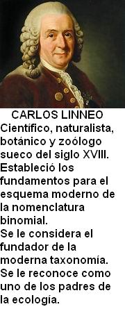 Carl von Linneo.jpg